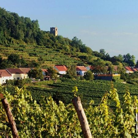 Prabatsch-Aichinger Winzergut Leilighet Langenlois Eksteriør bilde