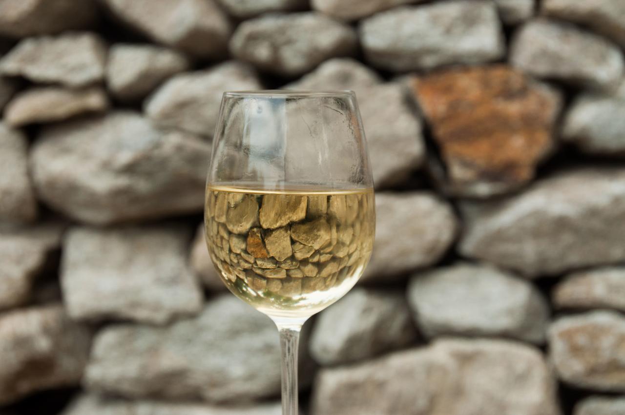 Prabatsch-Aichinger Winzergut Leilighet Langenlois Eksteriør bilde