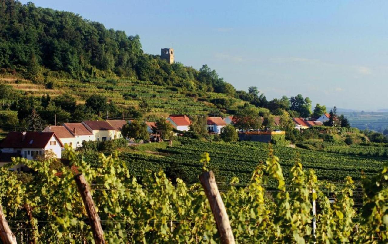 Prabatsch-Aichinger Winzergut Leilighet Langenlois Eksteriør bilde